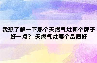 我想了解一下那个天燃气灶哪个牌子好一点？ 天燃气灶哪个品质好